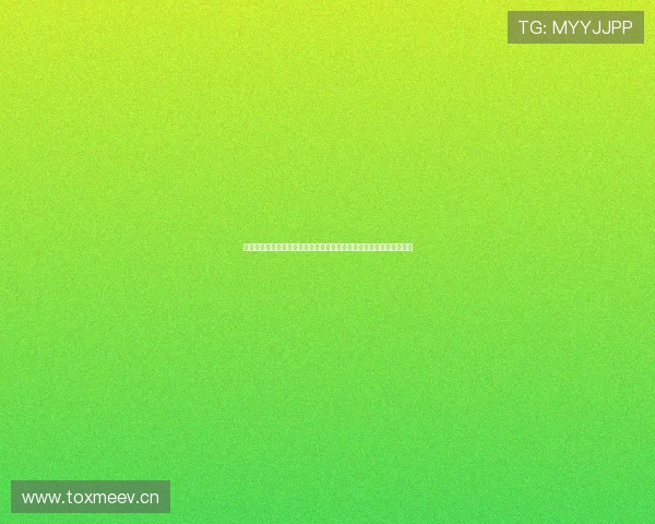 罗马对阵热那亚比赛上半场是否出现进球情况解析详细分析与赛况回顾