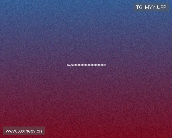 Koyo官网入口：轻松访问全球领先的轴承技术与解决方案